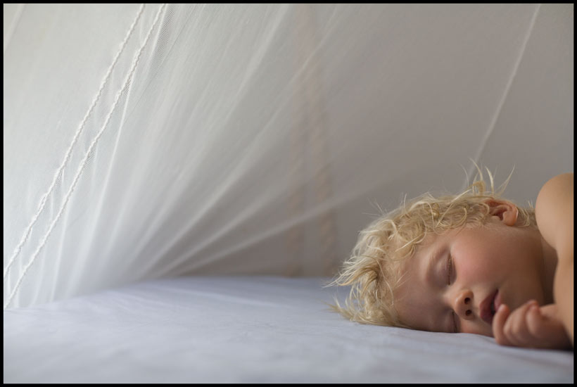 Jan Cook Photography - Portrait and Lifestyle