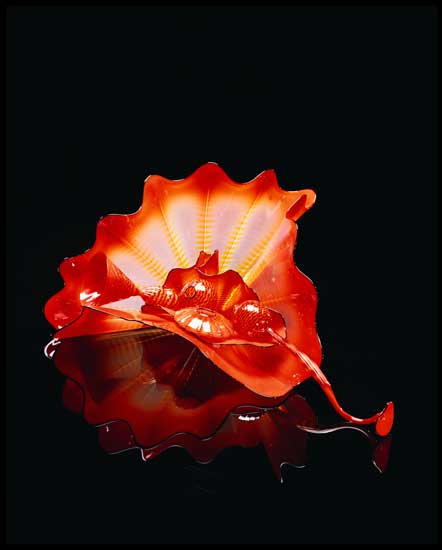 Jan Cook Photography - Art and Architecture Gallery